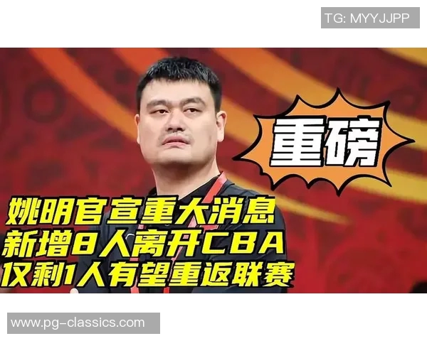 姚明与西西的友谊故事：跨越篮球与艺术的奇妙旅程